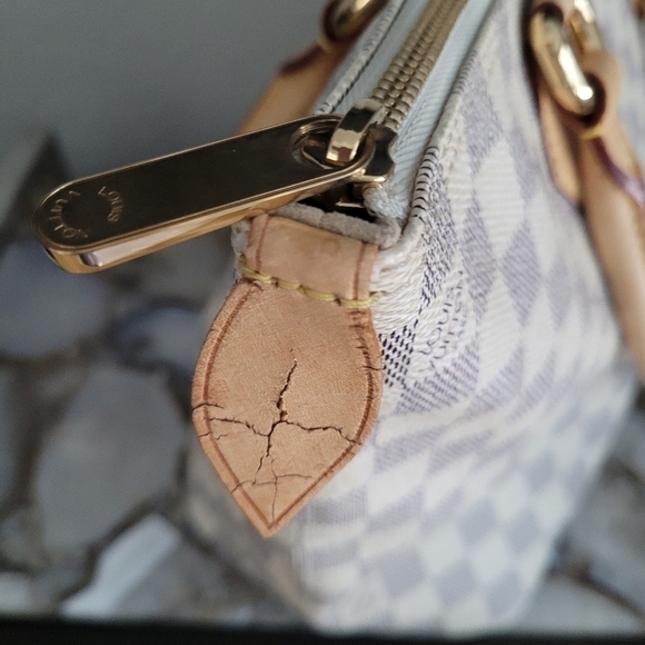 Louis Vuitton Saleya PM Azur Tote Bag - Picture 4 of 10